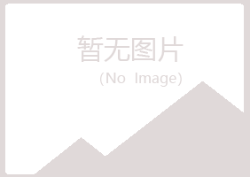 岱山县问雁批发有限公司